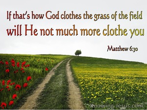 Matthew 6:30